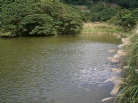 大屯山自然公園<br/> 攝影：amo