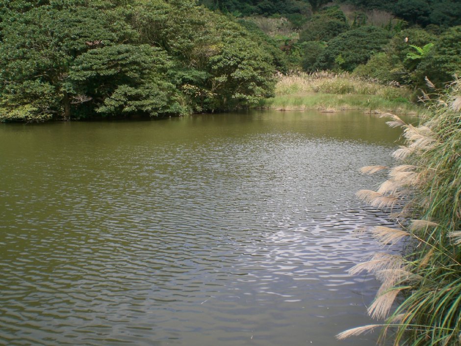 大屯山自然公園 攝影：amo