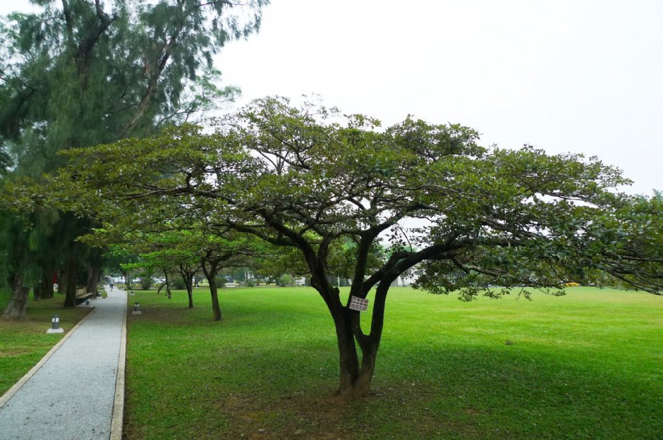 石門大草坪 攝影：Eva隨手拍