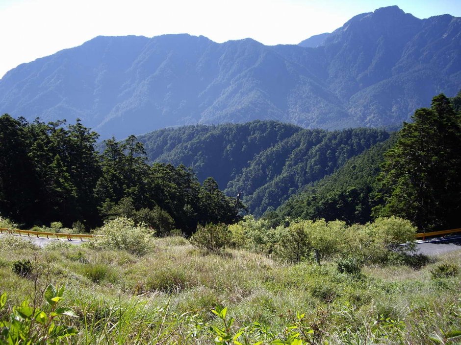 從台14甲道路望奇來北峰 攝影：老山羊部落格