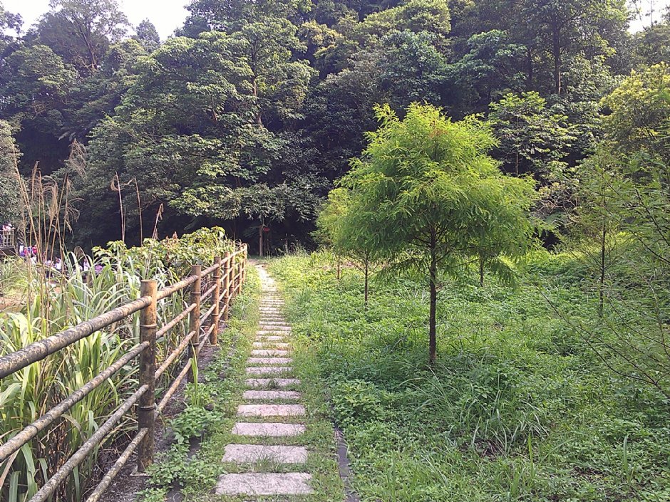 富民親水公園 攝影：Eva隨手拍