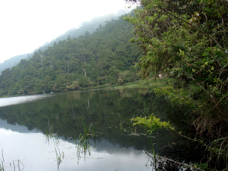 如夢似幻的美景 攝影：余燕鳳
