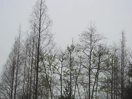 劉氏莊園一景 攝影：星盟旅行社