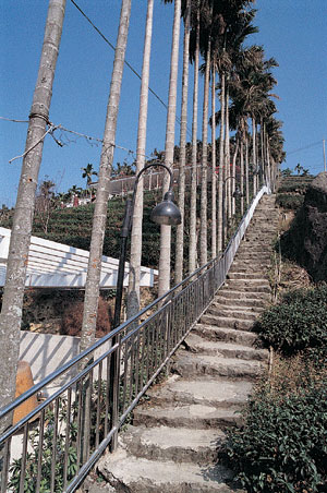 登山步道 攝影：雲林縣政府