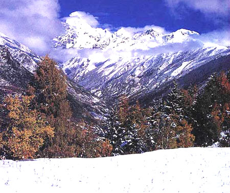 雪後的四姑娘山 攝影：四川旅遊信息網