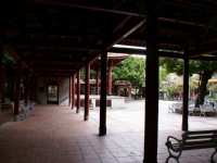 板橋農村公園<br/> 攝影：Eva隨手拍