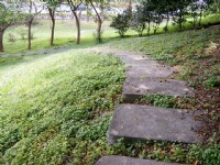 石階小徑遊園趣<br/> 攝影：曾婉玲