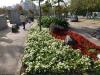 林森公園<br/> 攝影：kavin