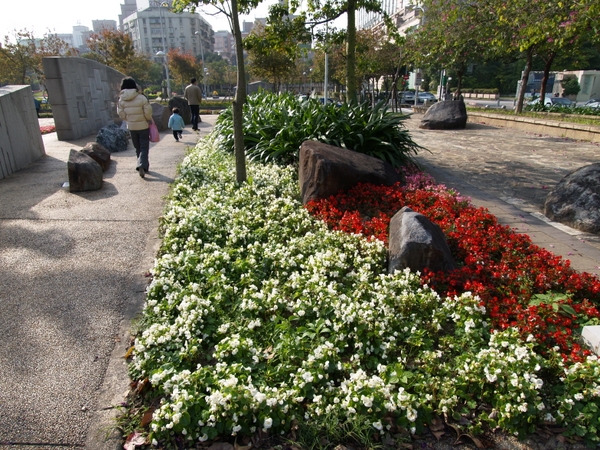 林森公園 攝影：kavin
