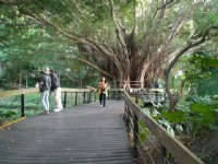 芝山文化生態綠園<br/> 攝影：amo