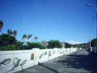 原野牧場<br/> 攝影：Eva隨手拍