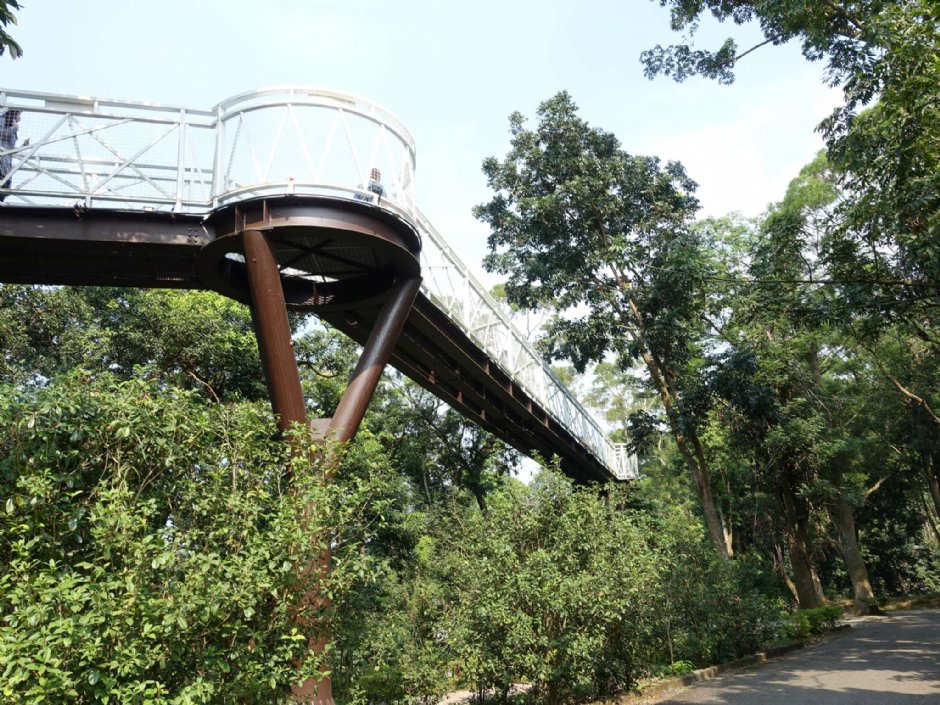 竹崎親水公園(天空走廊) 攝影：陳美吟