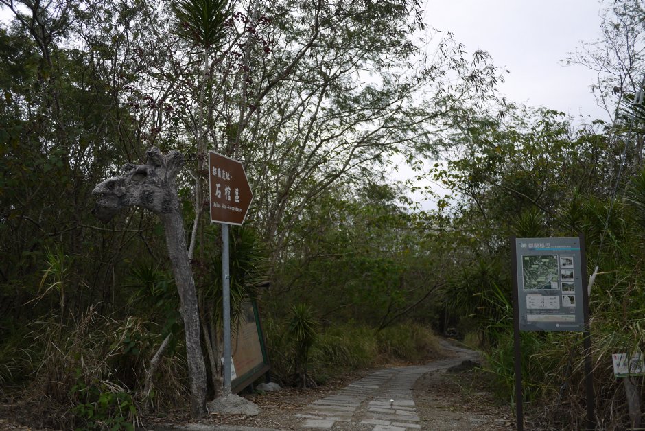 都蘭遺址 攝影：旅遊王攝影組