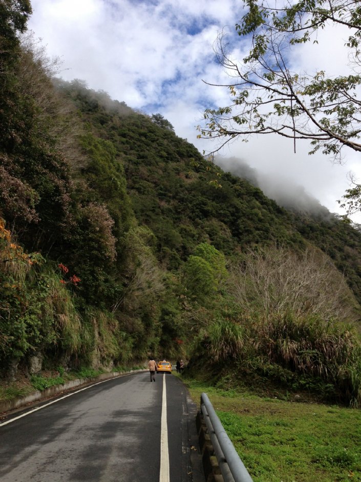 南橫公路海端鄉路段 攝影：林錦萍