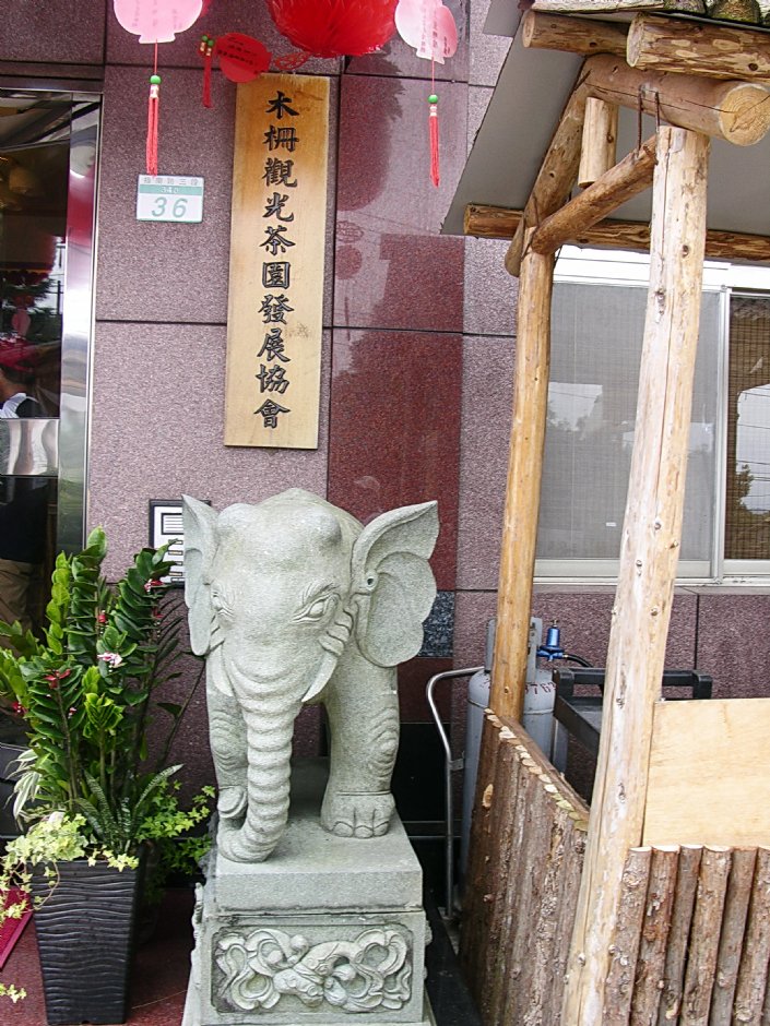 石象 攝影：林夢真