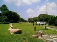華江雁鴨自然公園<br/> 攝影：Eva隨手拍