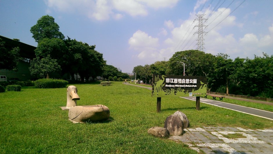 華江雁鴨自然公園 攝影：Eva隨手拍