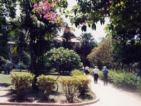 植物研究所<br/> 攝影：台灣中國旅行社