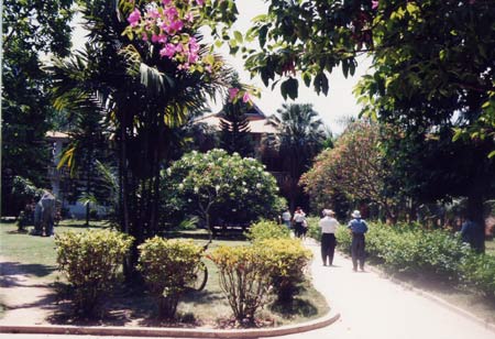 植物研究所 攝影：台灣中國旅行社