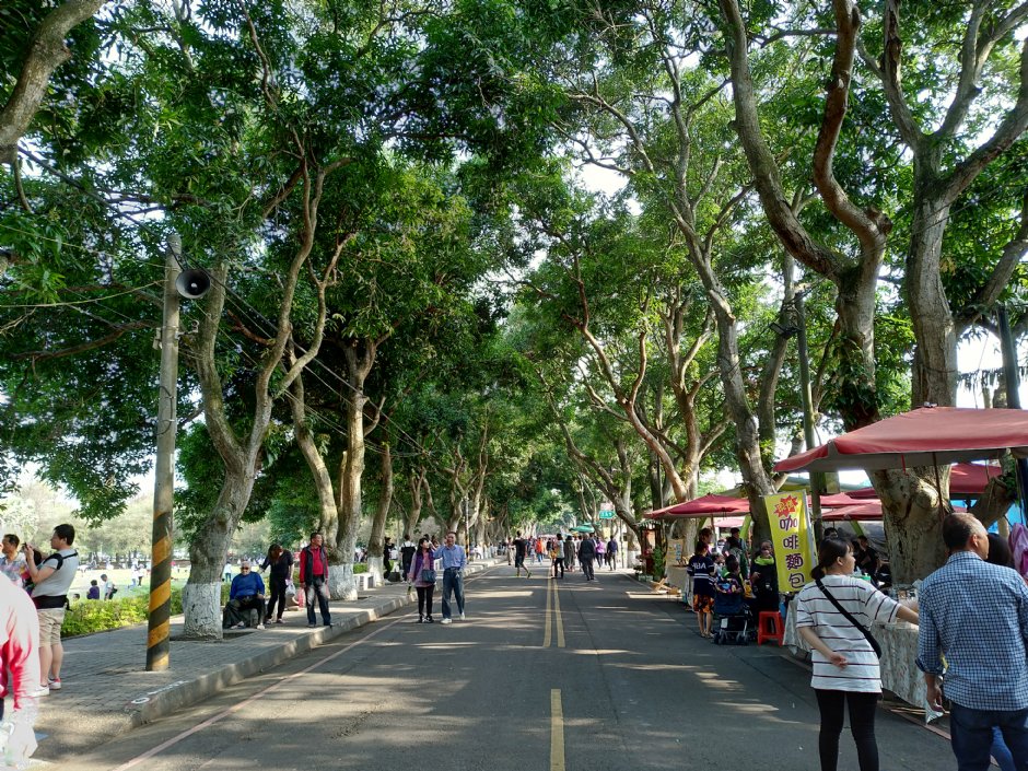 古坑綠色隧道 攝影：meiyin
