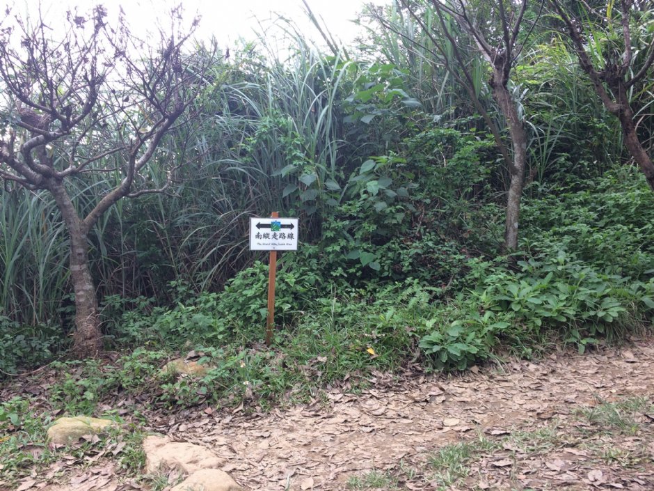 福州山公園 攝影：Eva隨手拍