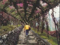 花道<br/> 攝影：國民旅遊出版社