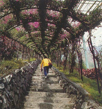 花道 攝影：國民旅遊出版社