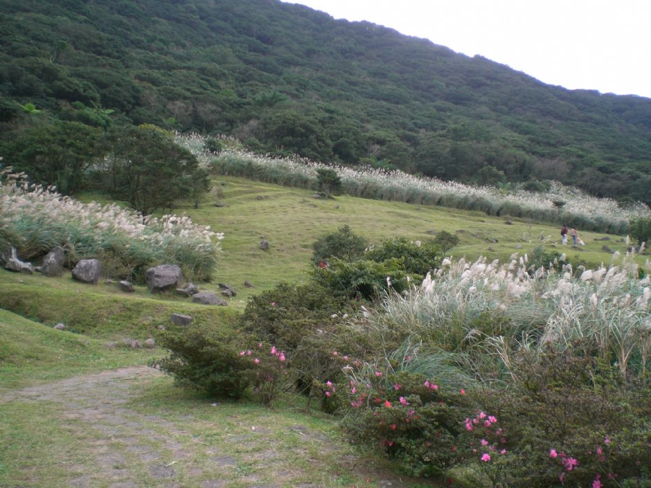 大屯山自然公園 攝影：amo