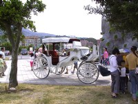馬車<br/> 攝影：kavin