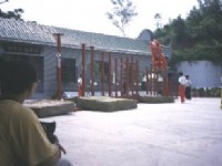 館內的武術及舞獅表演<br/> 攝影：沈兆樑