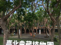 台北典藏植物园<br/> 摄影：Eva隨手拍