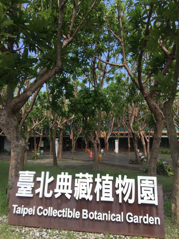 台北典藏植物园 摄影：Eva隨手拍
