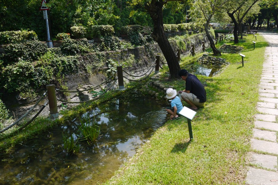 原生植物園 攝影：三井