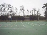 籃球場<br/> 攝影：郭香妙