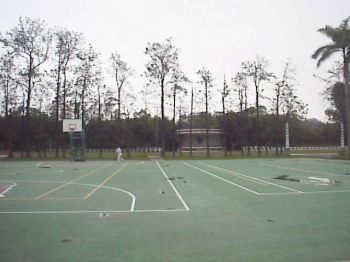 籃球場 攝影：郭香妙