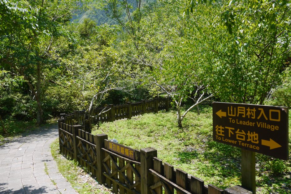 布洛灣山月村201607 攝影：旅遊王攝影組