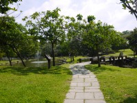 原生植物園<br/> 攝影：三井