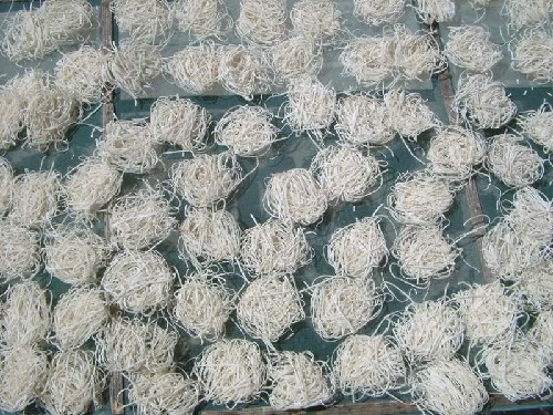 馬祖魚麵 攝影：林文智