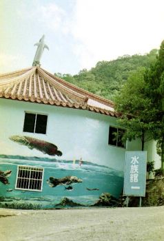 水族館 攝影：呂玫瑢