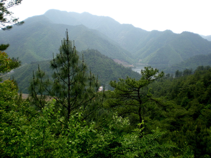 富春山景 攝影：顧穎