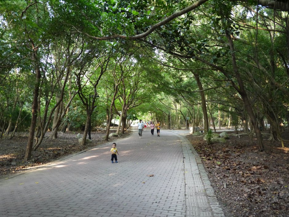 高雄都會公園 攝影：三個井