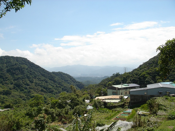 白石湖地区 摄影：陳美吟