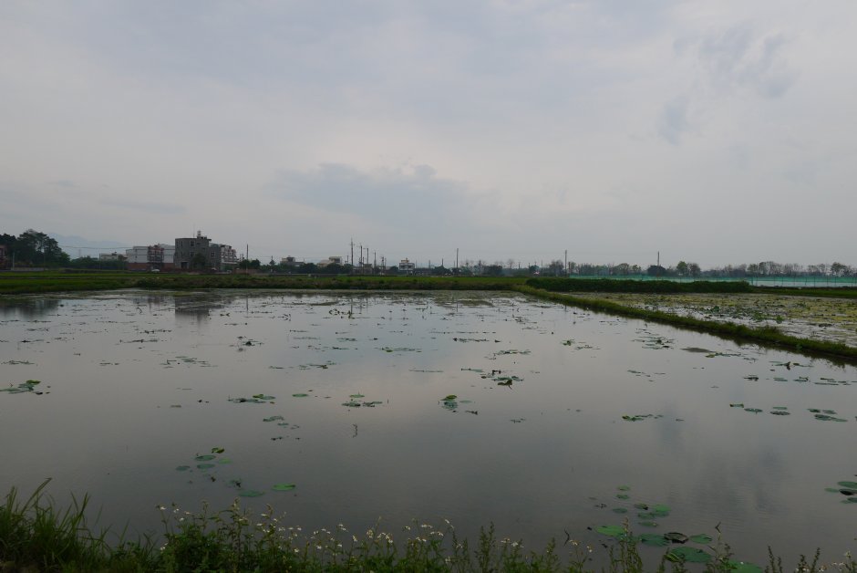 周邊田園 攝影：旅遊王攝影組