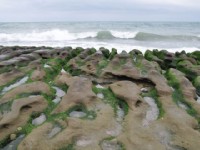 老梅海岸石槽<br/> 攝影：kavin