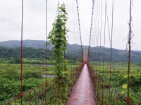 寒溪吊橋<br/> 攝影：Eva隨手拍