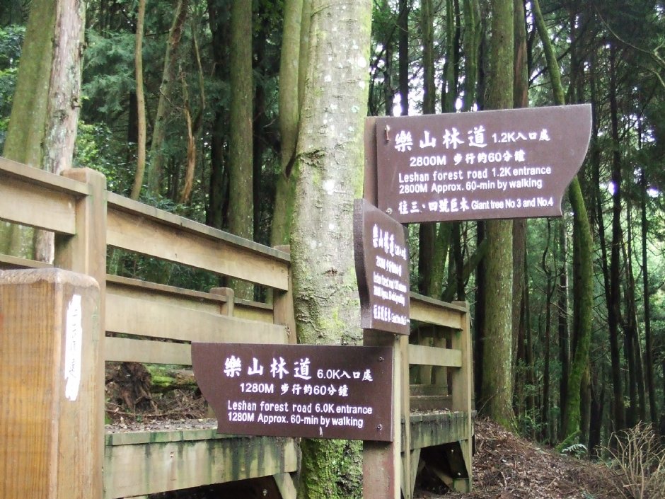 往樂山林道 攝影：Lu