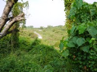漯底山自然公園<br/> 攝影：三井