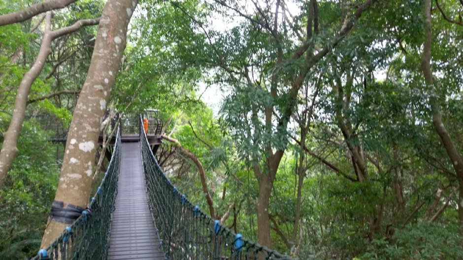 巴陵古道生態園區步道 攝影：Eva隨手拍