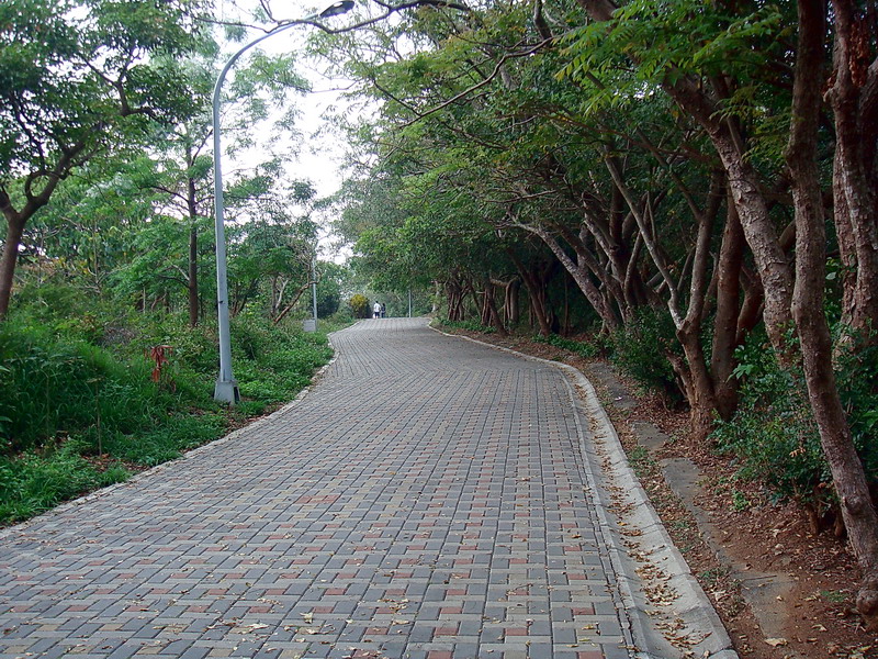 綠色步道 攝影：余燕鳳
