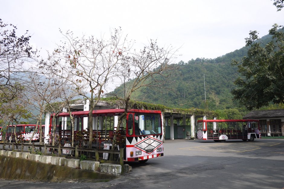 遊園車 攝影：旅遊王攝影組
